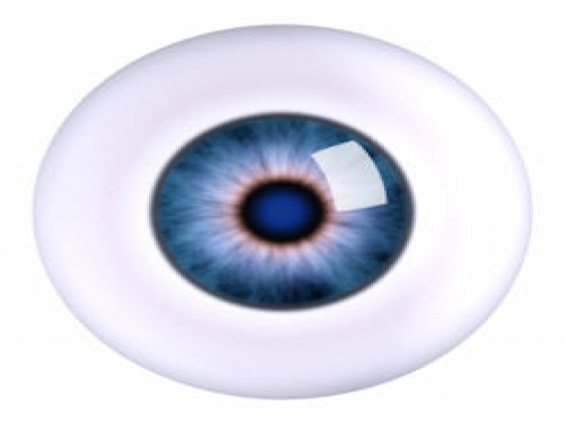 PROSTHETIC CONTACT LENS